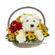 Puppy Flower Basket- Myanmar